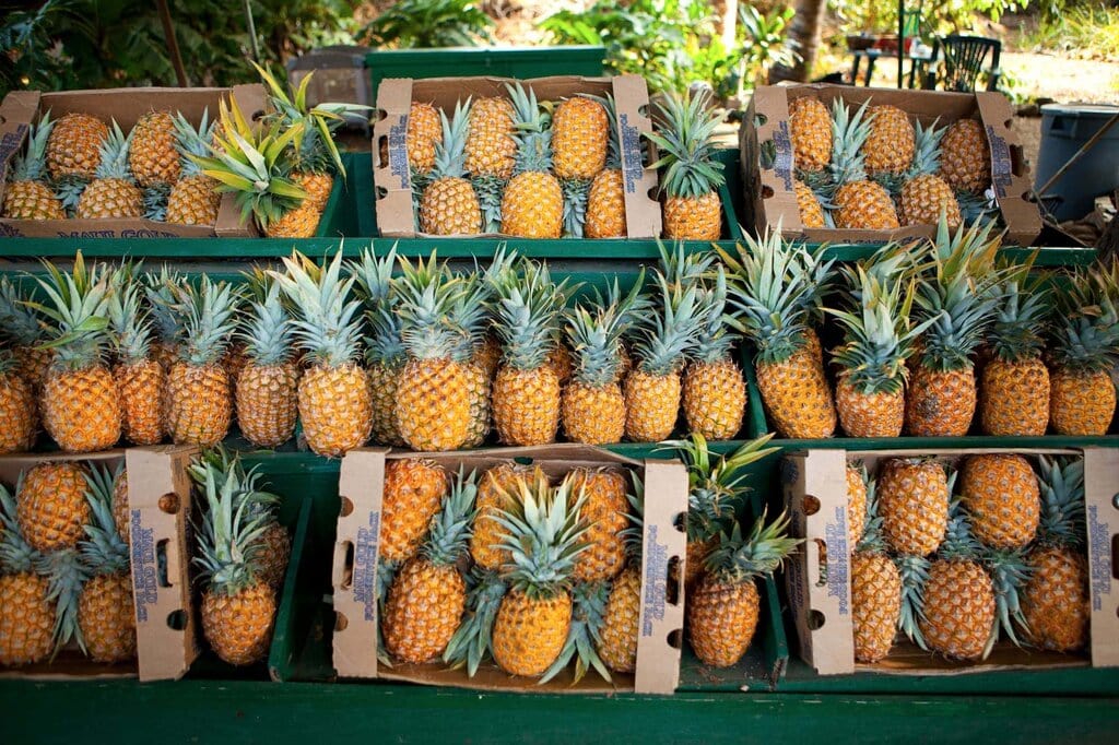 a pineapple stand