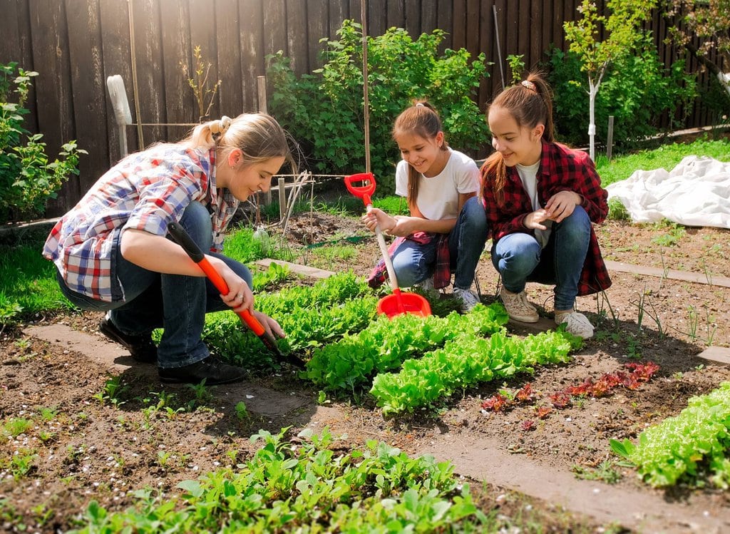 Environmentally Conscious Gardening
