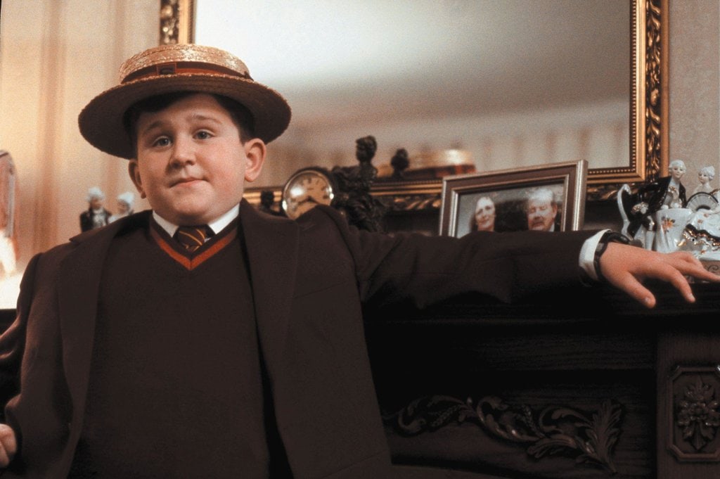 Harry Melling as Dudley Dursley