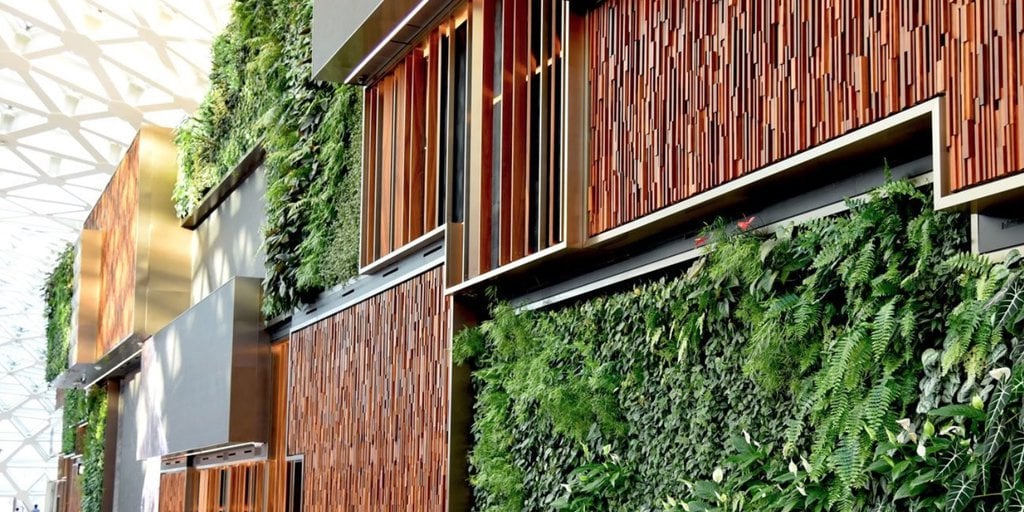 A Living Wall Outdoors